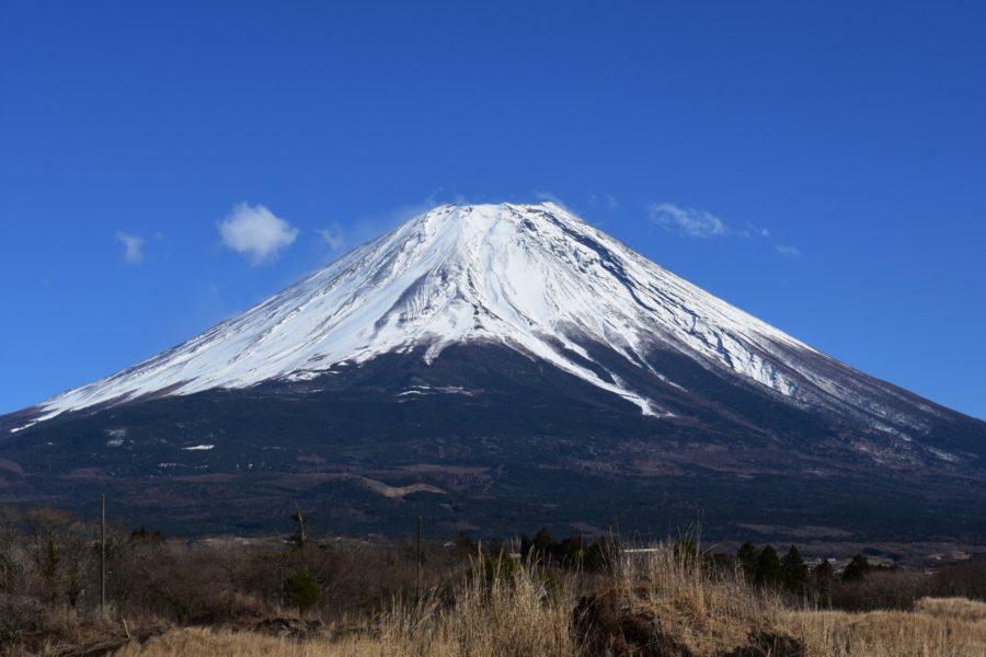 節目の年に思うこと