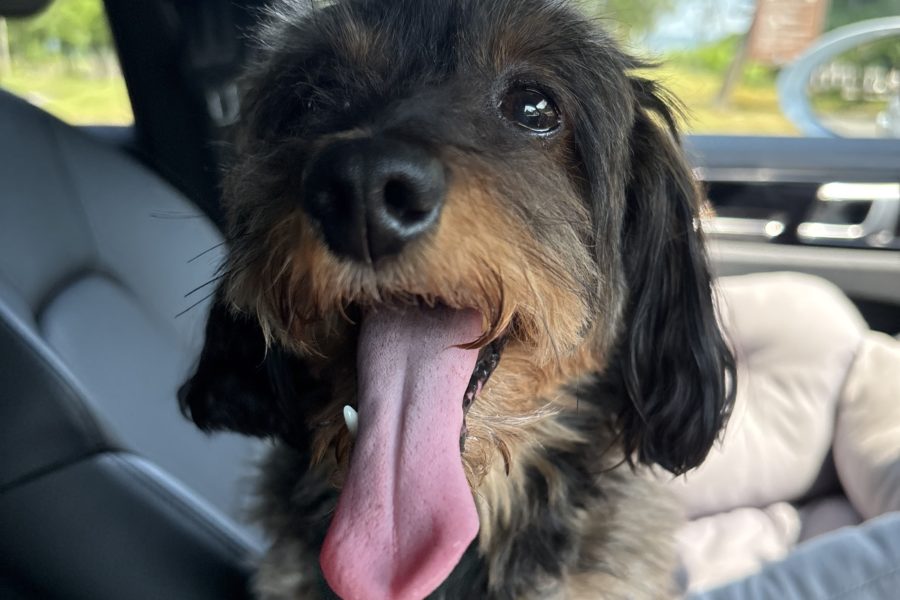 殻を破った先に見えた景色