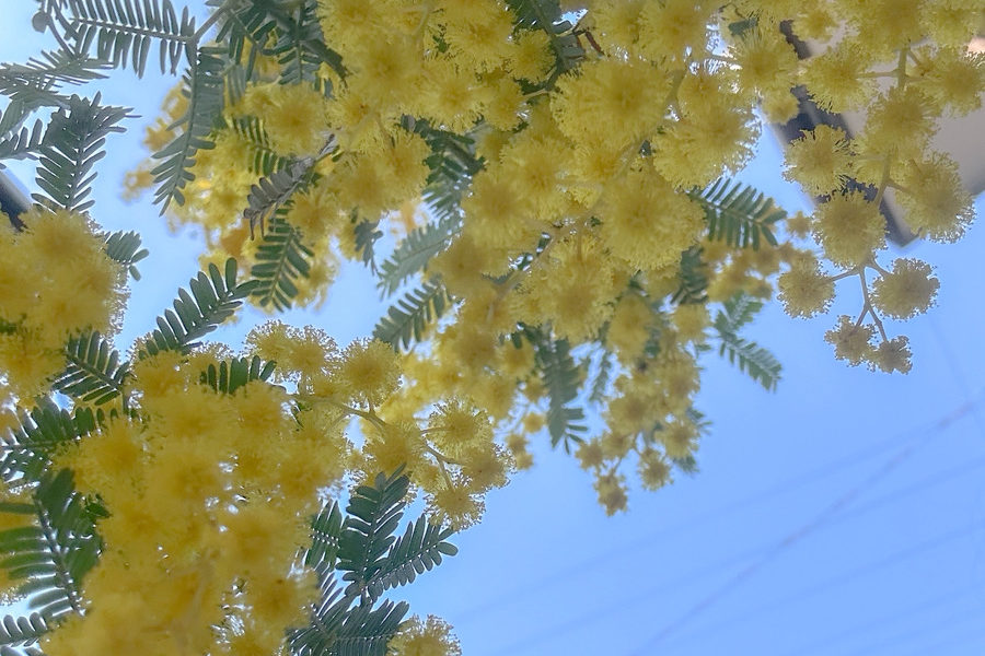 趣味とKEEP:Sの家づくり🌱